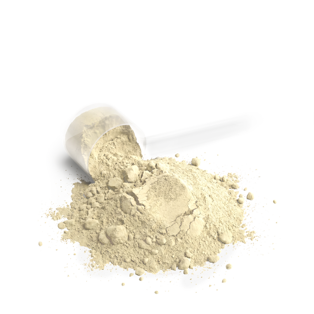 Players Beauty (Vanilla) Performance Whey Protein Blend