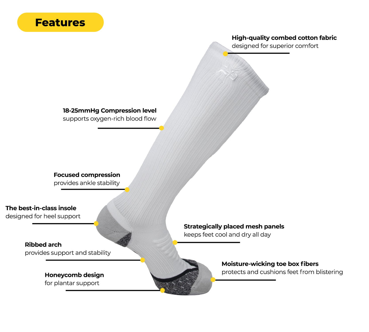 AMP Leg Compression Socks